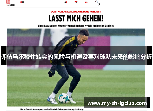评估马尔穆什转会的风险与机遇及其对球队未来的影响分析