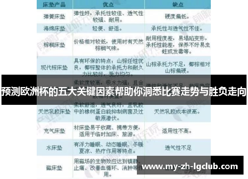 预测欧洲杯的五大关键因素帮助你洞悉比赛走势与胜负走向